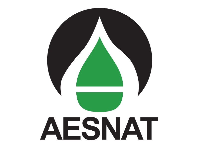 aesnat aesnat